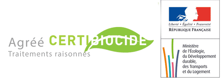Traitement nuisibles professionnels certifié Val de Marne
