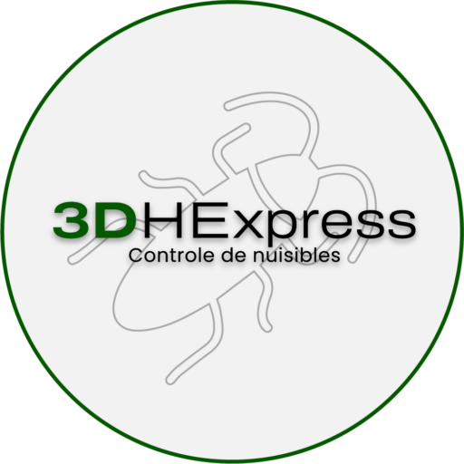 3dhexpress nuisibles entreprise de désinsectisation, deratisation 94