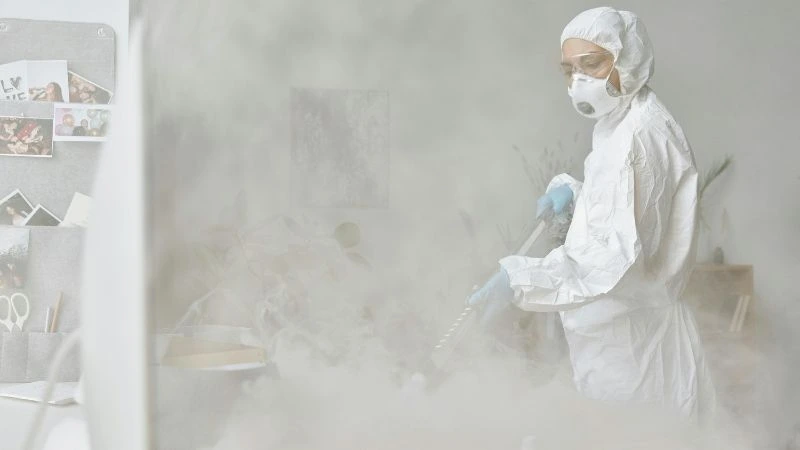 Désinfection à La Queue-en-Brie vapeur sèche haute température entreprise anti nuisibles 94