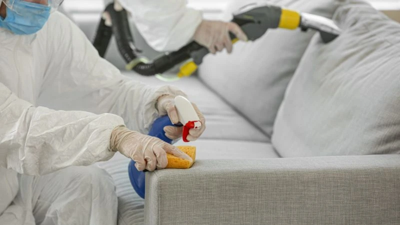 services anti-nuisibles entreprise désinsectisation à Vitry-sur-Seine desodorisation nettoyage tissu canapé