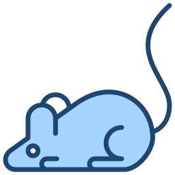 005 rodents