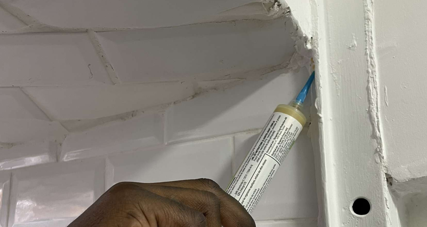 pose de gel insecticide desinsectisation Créteil 94