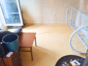 desinsectisation à Créteil cafards 94400 avant après traitement