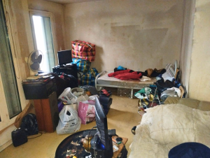 désinsectisation à Créteil cafards appartement traitement nettoyage