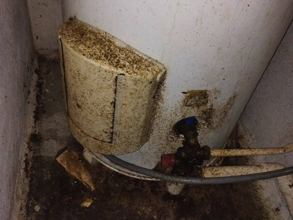 excrement cafards infestation massive désinsectisation à Créteil Val de Marne