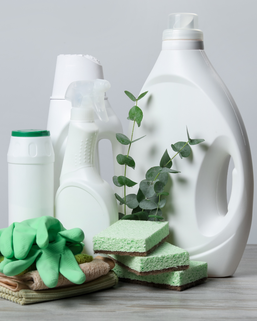 nettoyage maison propre conseils pour eviter les infestations de nuisibles