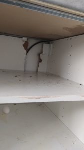 Cafards dans placard desinsectiseur appartement val de marne 94