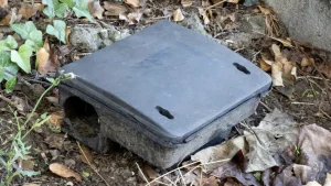 piège à rats ou poser intervention professionnelle 94