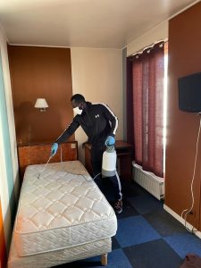 désinsectisation punaises de lit Créteil Intervention anti-nuisibles 94